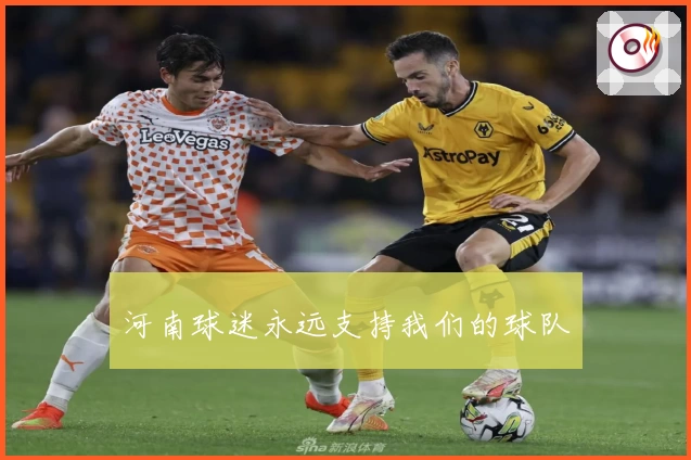 河南球迷永远支持我们的球队