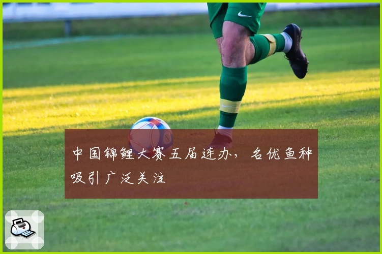 中国锦鲤大赛五届连办,名优鱼种吸引广泛关注