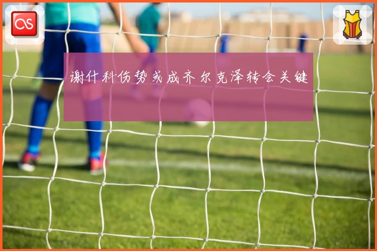 谢什科伤势或成齐尔克泽转会关键
