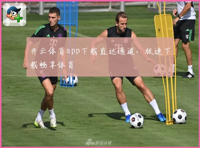 开云体育app下载直达通道，极速下载畅享体育