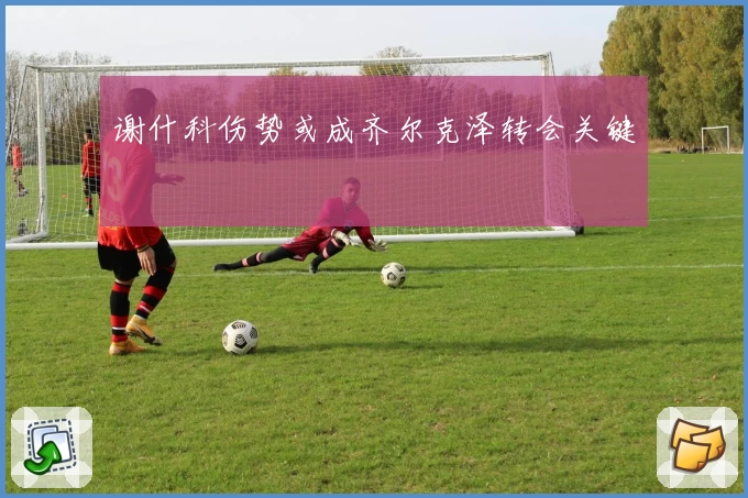 谢什科伤势或成齐尔克泽转会关键