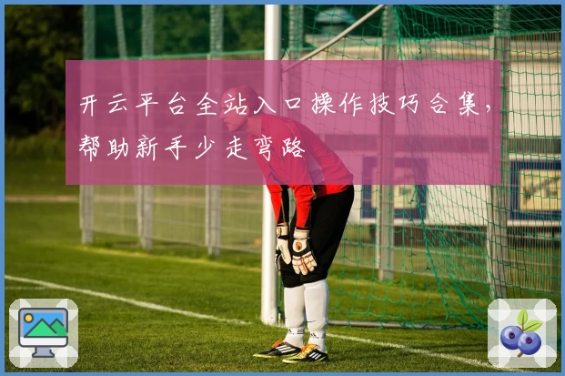 开云平台全站入口操作技巧合集，帮助新手少走弯路