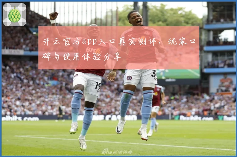 开云官方app入口真实测评，玩家口碑与使用体验分享